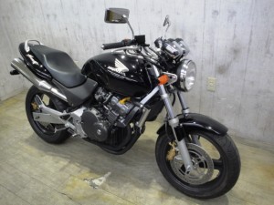 HORNET 004