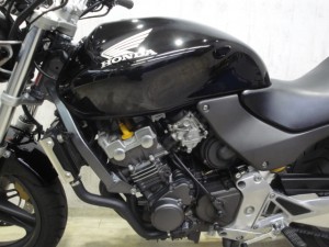 HORNET 015