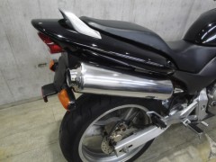HORNET 009