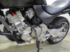 HORNET 018