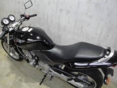 HORNET 019