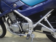 KLE250 027