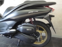 PCX 019