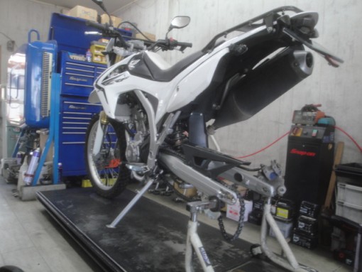CRF (3)