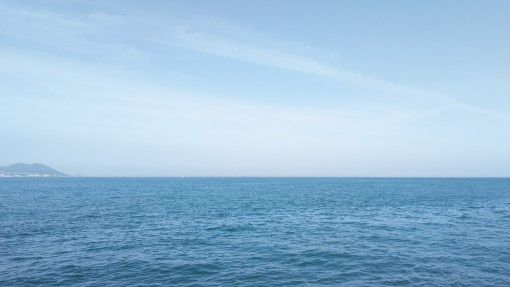 DSC_0135