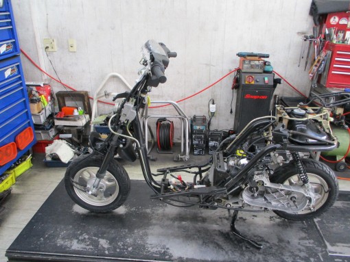IMG_4429
