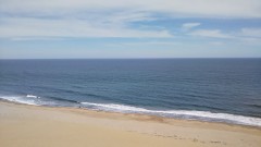 DSC_1873