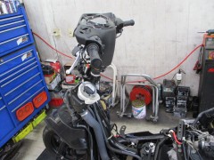 IMG_6593